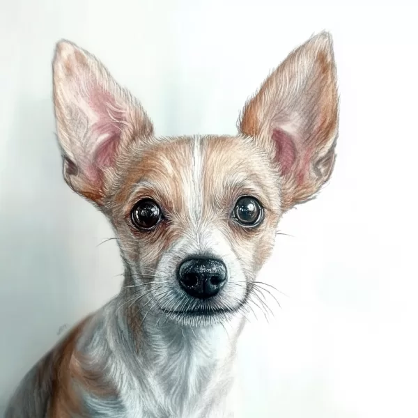 Арт Принт на Вашето Куче🐾 Custom Pet Portrait - Image 5