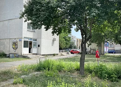 Куче без бяс (вероятно ваксинирано против бяс) се разхожда до полицейски участък - МВР СДВР