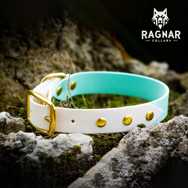 Ръчно изработени нашийници от PVC уебинг – Ragnar Collars - Image 2