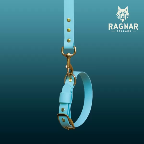 Ръчно изработени нашийници от PVC уебинг – Ragnar Collars - Image 6