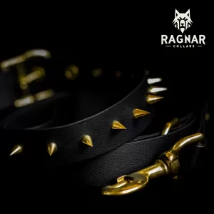 Ръчно изработени нашийници с шипове от PVC уебинг – Ragnar Collars