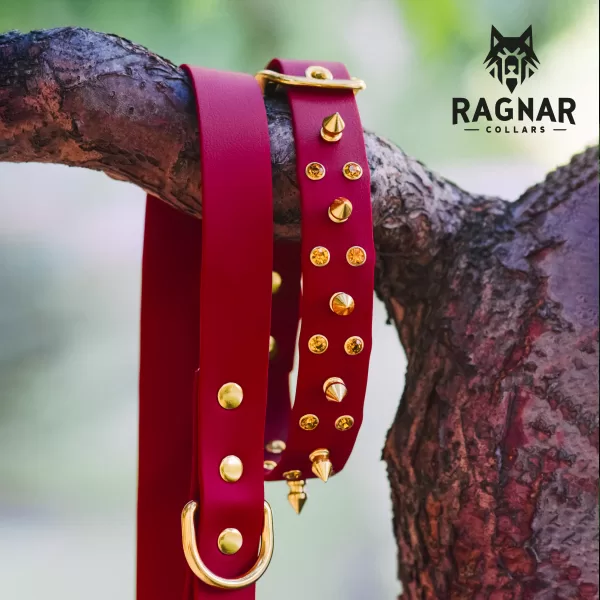 Ръчно изработени нашийници с камъчета от PVC уебинг – Ragnar Collars - Image 5