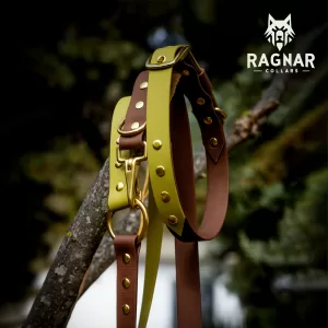 Ръчно изработени нашийници от PVC уебинг – Ragnar Collars